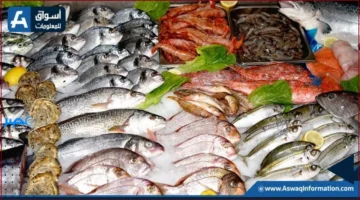 تراجع الأسعار.. انخفاض أسعار سمك البوري في سوق العبور هذا الأسبوع